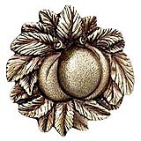 Notting Hill 1-1/2" (38mm) Georgia Peach Cabinet Knob (Antique Brass)
