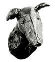 Soko Domestic Animals 2" (51mm) Cabinet Knob