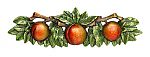 Notting Hill 5" (128mm) Georgia Peach Cabinet Pull (Hand Tinted Pewter)