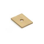 Schaub and Company Pub House 1" (25mm) Backplate for Knobs (Signature Satin Brass)