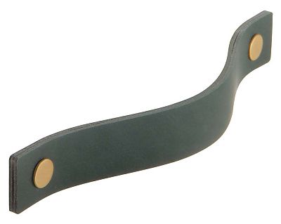 Schwinn Design 33828/160 6-5/16" (160mm) Center-to-Center Cabinet Pull (Brushed Brass/ Dark Green)