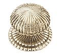 Symphony Designs by Schaub 1-1/4" (32mm) Medium Cabinet Knob (White Brass)
